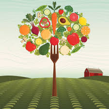 Tree food - Better Habits, Better Health: Tips For Your Fitness In 2026