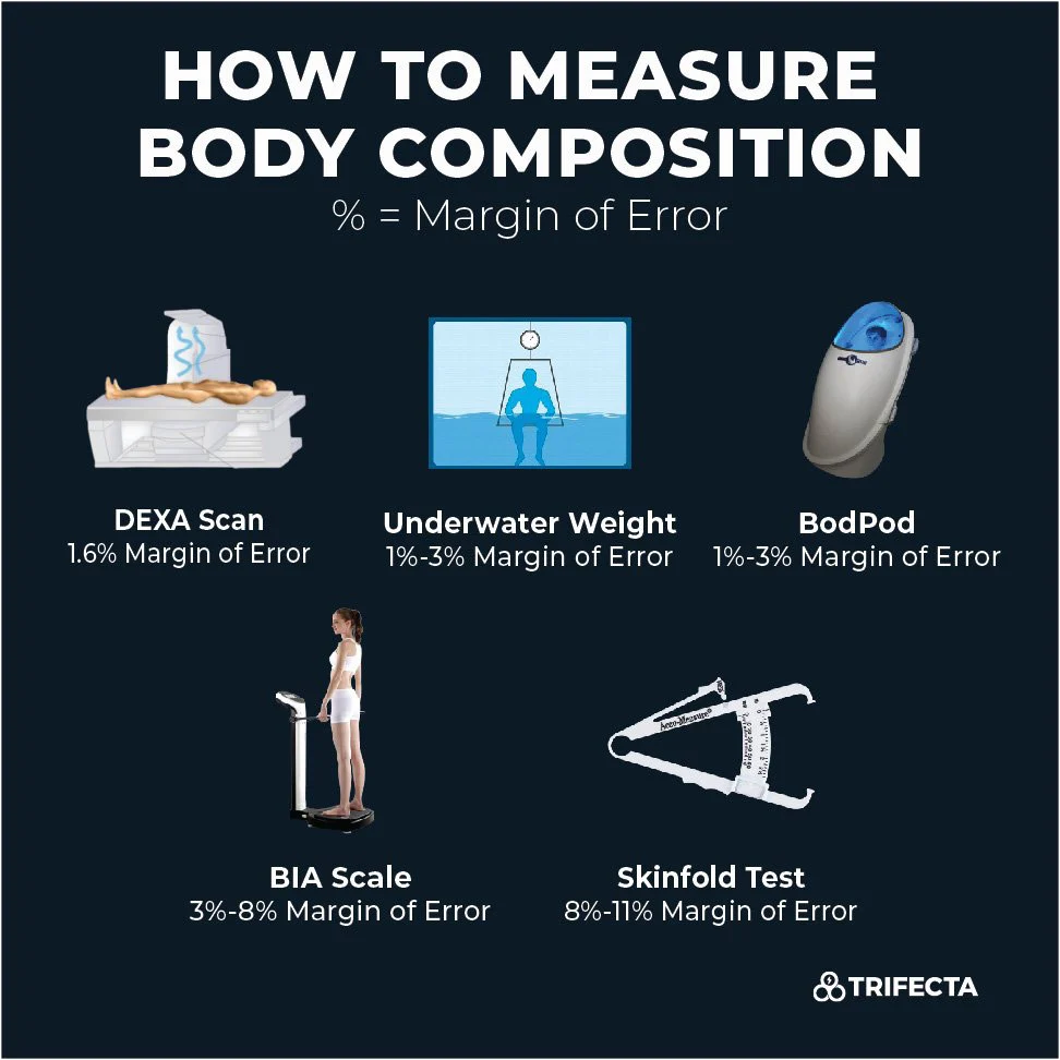 Body composition information